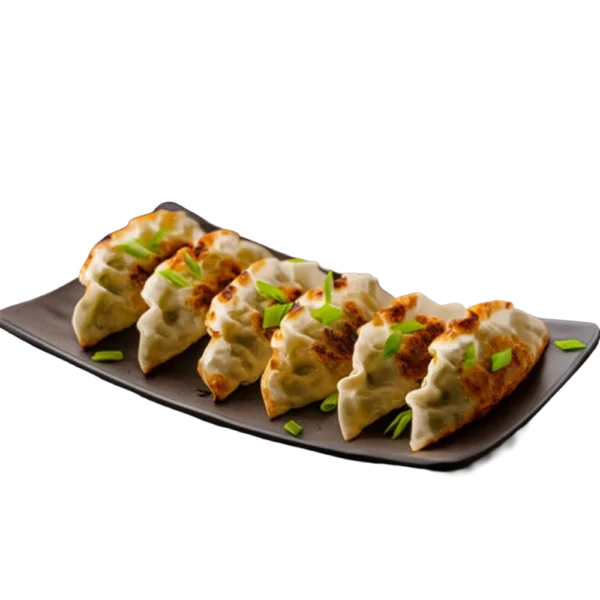Gyoza met kip