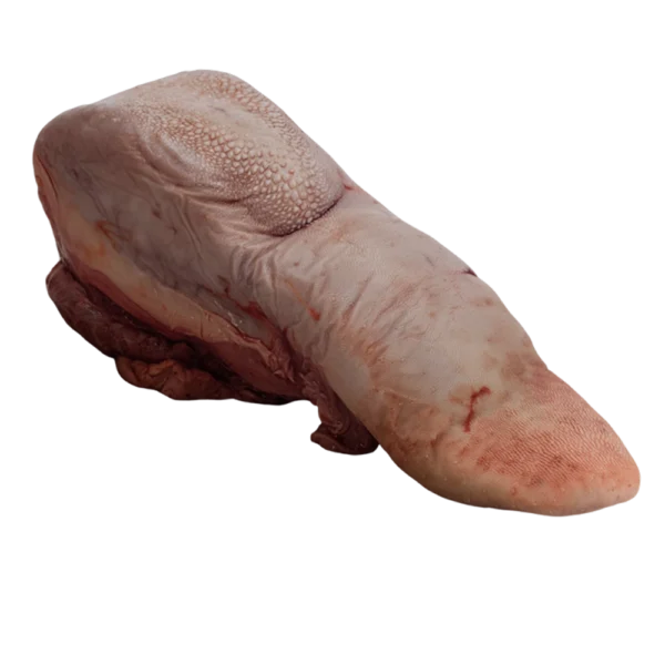 Rundertong