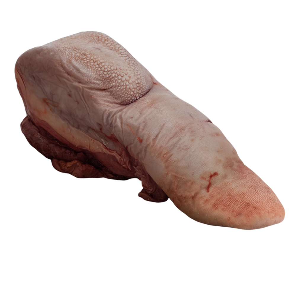 Rundertong