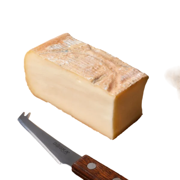 Taleggio