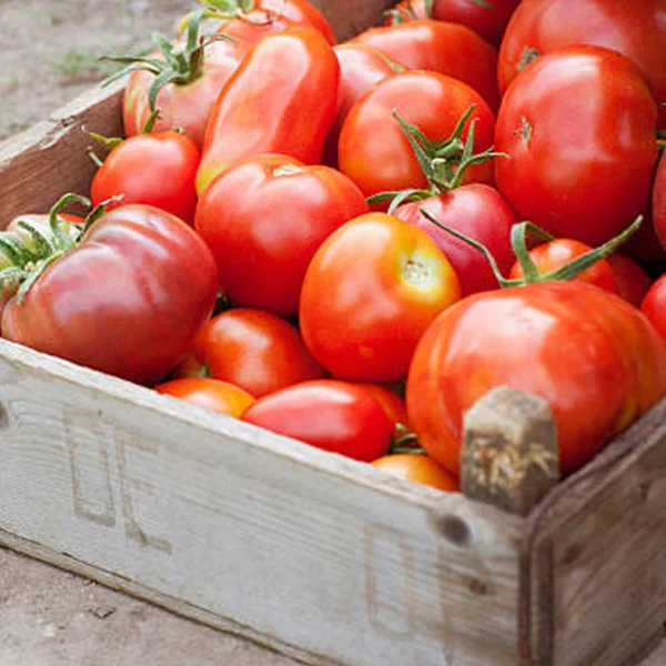 Vlees tomaten