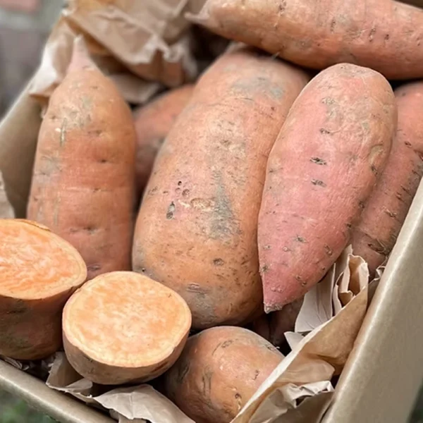 Zoete Aardappels